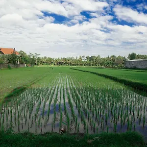 ** Pensión Canang Sari House Indonesia